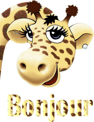 Bonjour, hello, coucou