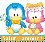 Bonjour, hello, coucou