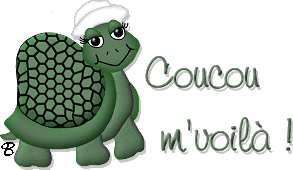 Bonjour, hello, coucou